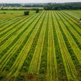 greenpod_granja_bg